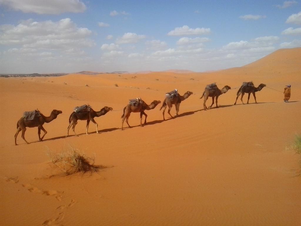 מלון מרזאוגה Bivouac Erg Znaigui מראה חיצוני תמונה